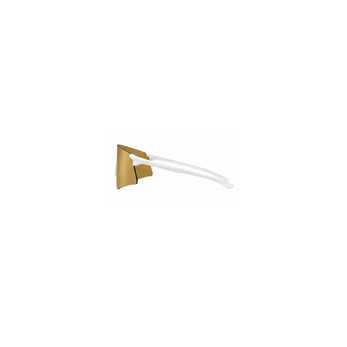 SS GOLD